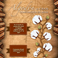 Algodón, uno de los grandes consumidores de agua