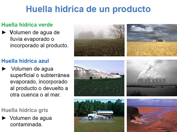 huella-azul-verde-gris